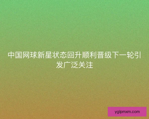 中国网球新星状态回升顺利晋级下一轮引发广泛关注