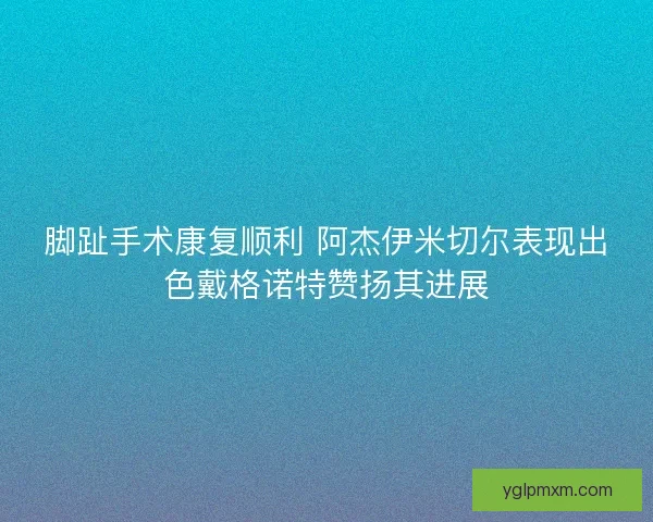 脚趾手术康复顺利 阿杰伊米切尔表现出色戴格诺特赞扬其进展 脚趾手术康复顺利 阿杰伊米切尔表现出色戴格诺特赞扬其进展